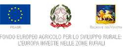 Logo Regione Veneto